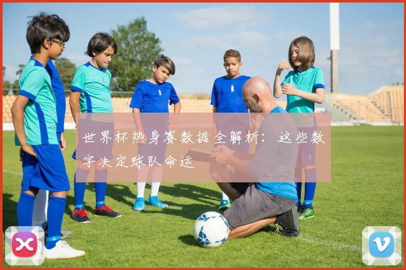 世界杯热身赛数据全解析：这些数字决定球队命运